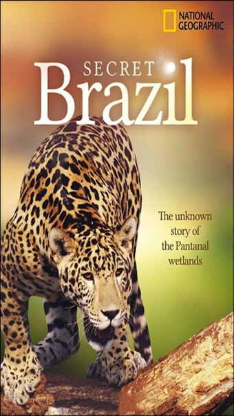 Secret Brazil