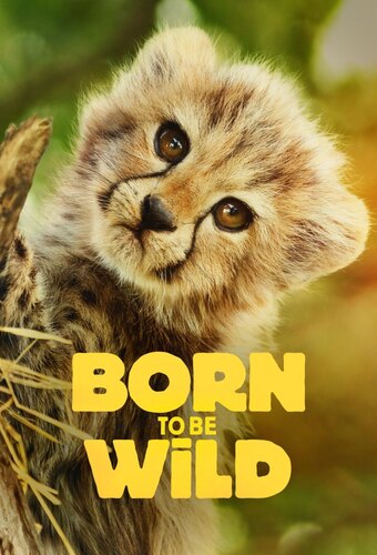 Born to be Wild