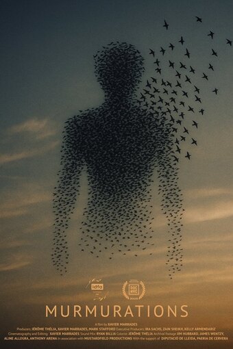Murmurations