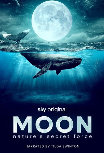 Moon: Nature's Secret Force