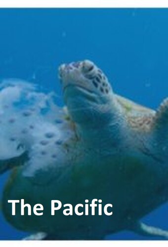 The Pacific