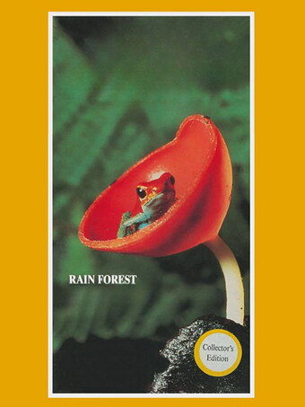Rain Forest