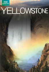 Yellowstone: Battle for Life