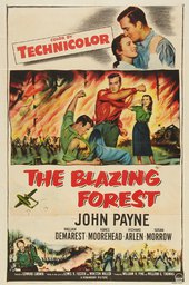 The Blazing Forest