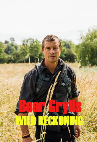 Bear Grylls - Wild Reckoning