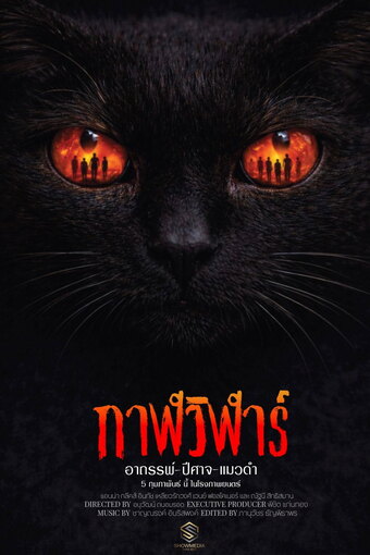 Devil Black Cat