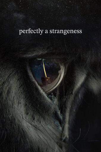 perfectly a strangeness