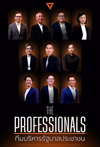 The Professionals