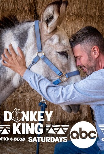 Donkey King