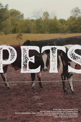 Pets