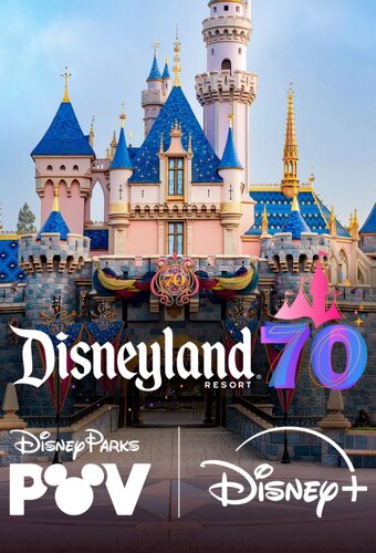 Disney Parks POV