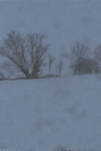 Landscape as Landscape - 21