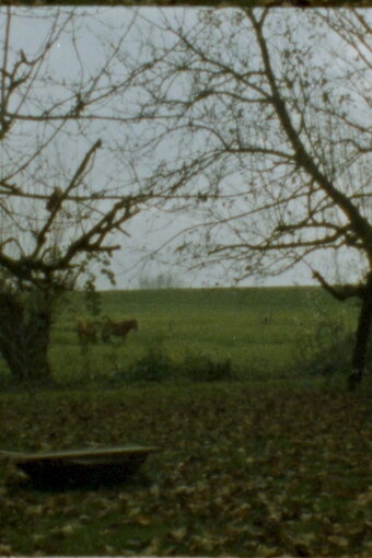 Landscape as Landscape - 22