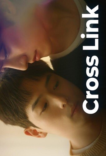 Cross link