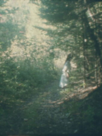 To the Forest