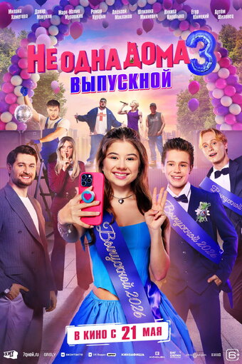 Home Not Alone 3