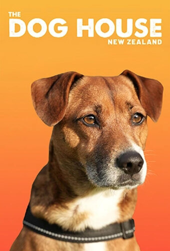 The Dog House NZ