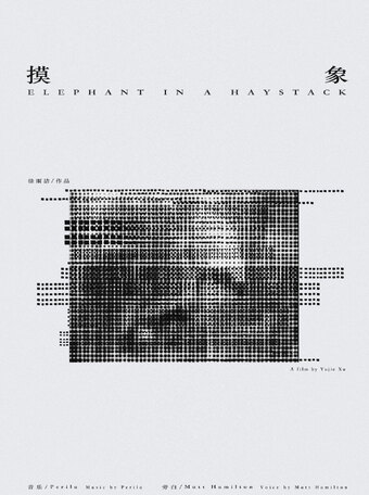 Elephant in a Haystack