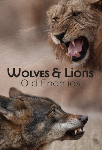 Wolves & Lions: Old Enemies