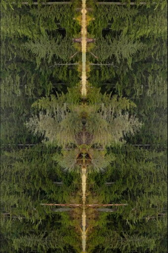 Mirrorpond