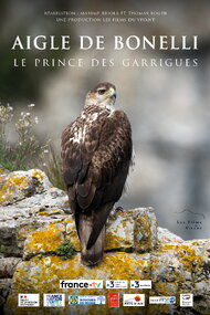 Aigle de Bonelli, le prince des garrigues (2025)