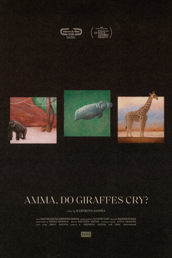 Amma, Do Giraffes Cry?