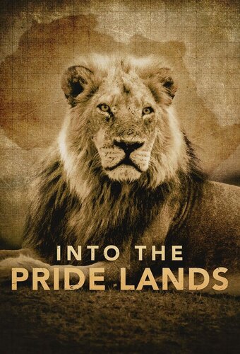 Into the Pride Lands
