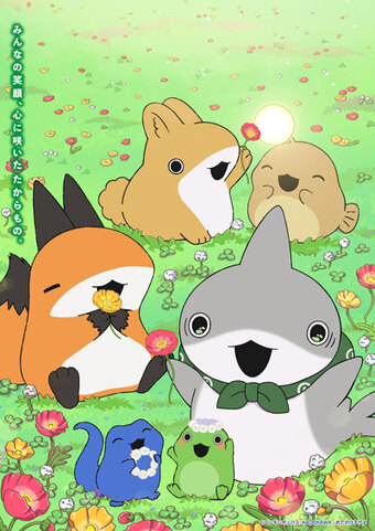 Little Shark's Outings