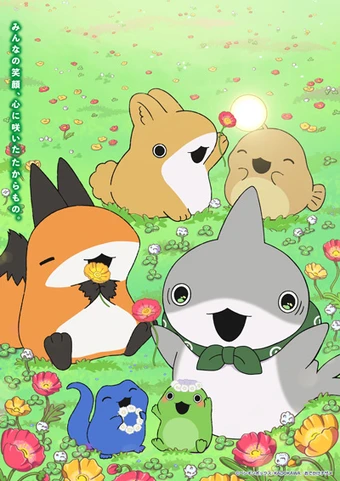 Little Shark's Outings