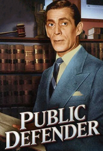 Public Defender