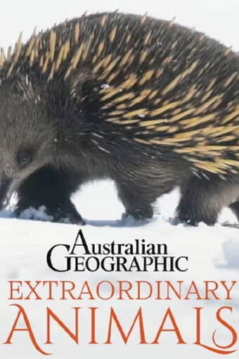 Extraordinary Animals