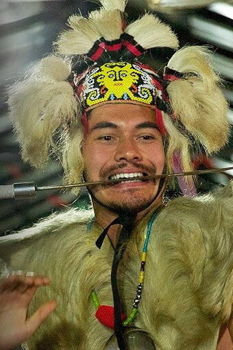 Surviving Borneo