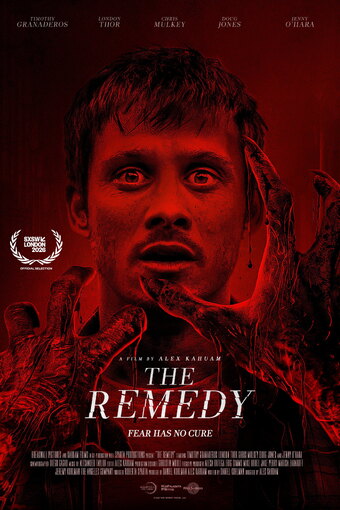 The Remedy