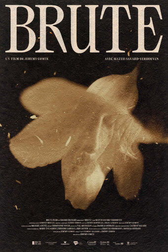 Brute