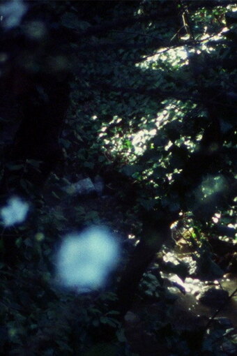 Clairière
