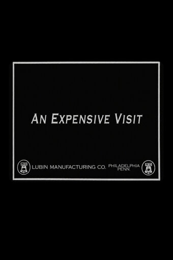An Expensive Visit