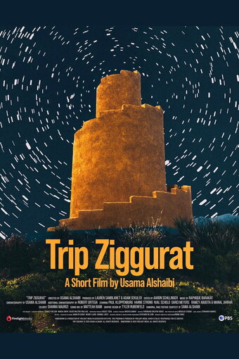 Trip Ziggurat