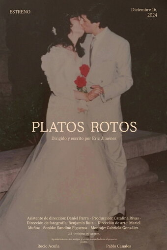 Platos Rotos