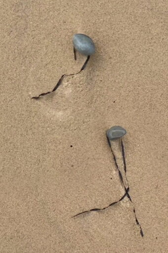 Double act