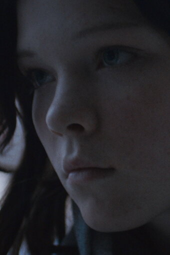 Little Dove