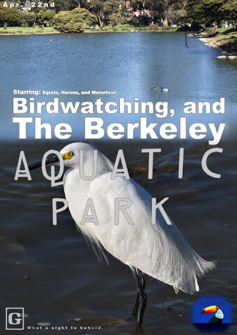 The Berkeley Aquatic Park
