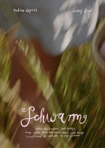 Schwarm