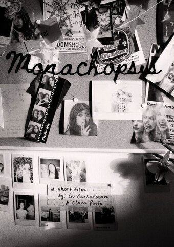 Monachopsis