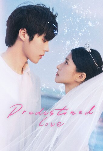 Predestined Love