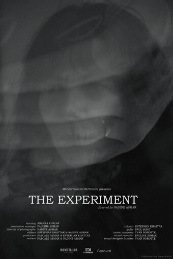 The Experiment