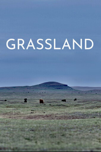 Grassland