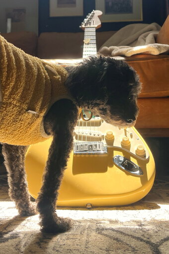 Yellow Guitar