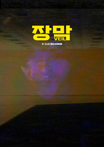 Veil
