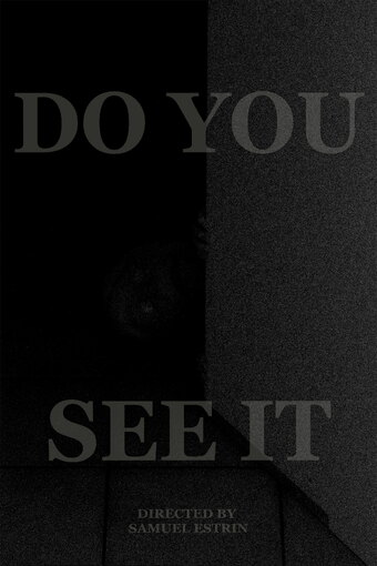 DO YOU SEE IT