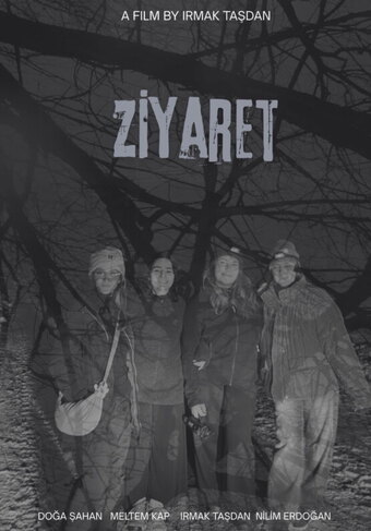 Ziyaret